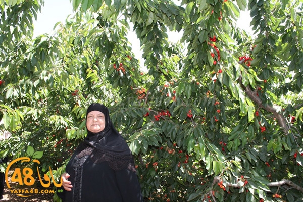 re7la bayere3jqw (18).JPG